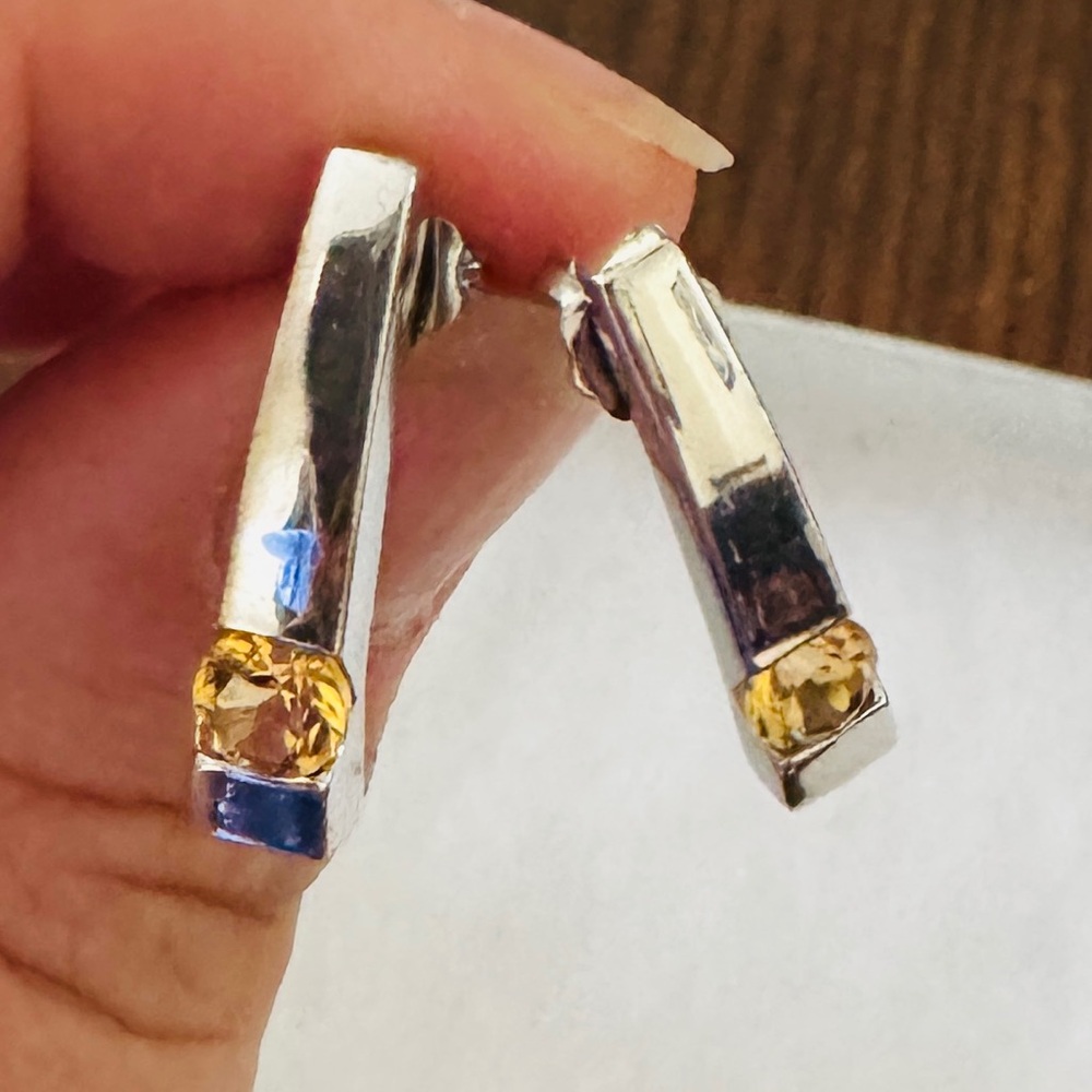 Elegant Silver and Gold Earrings